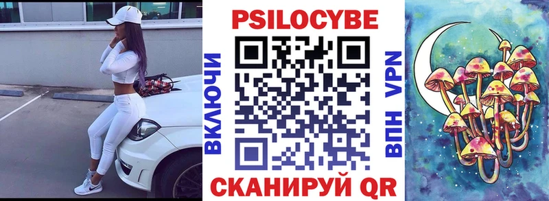 Псилоцибиновые грибы Psilocybine cubensis  Новосокольники 