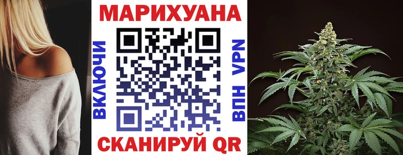 omg маркетплейс  Новосокольники  Марихуана сатива 